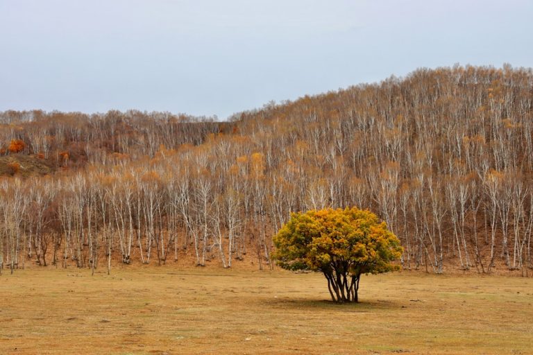 Exploring Eco-Friendly Outdoor Travel Options